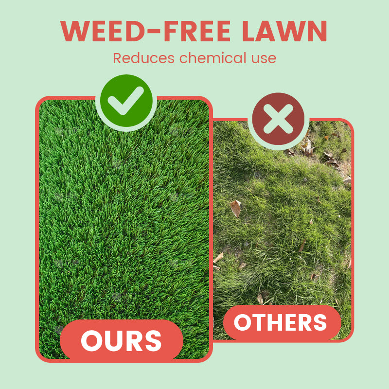 Grass Seeds for Lawn and Golf Course