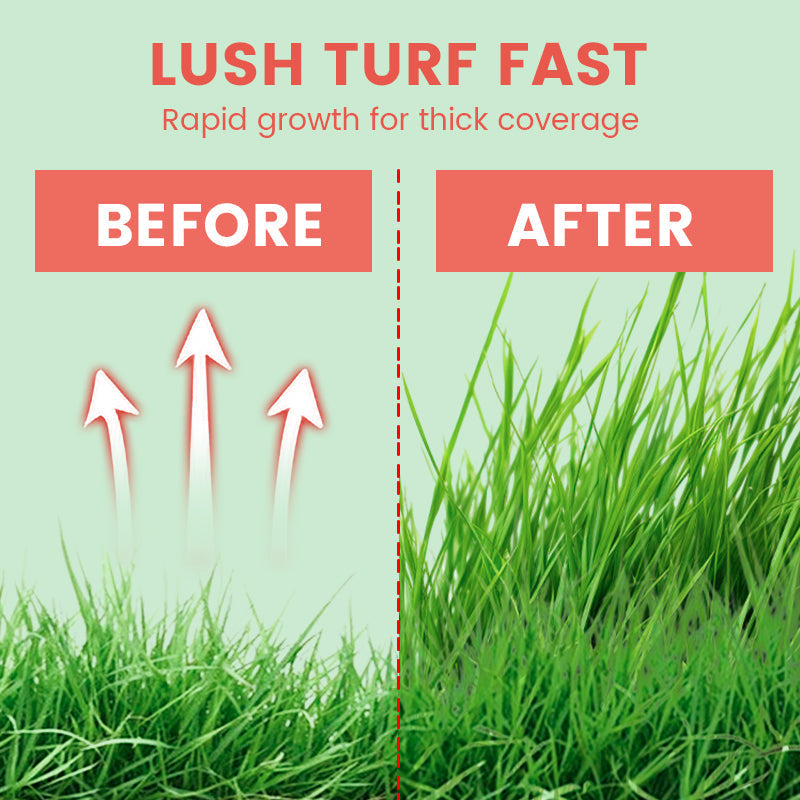 Grass Seeds for Lawn and Golf Course