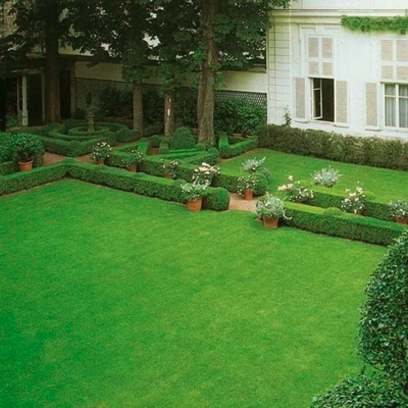 Grass Seeds for Lawn and Golf Course