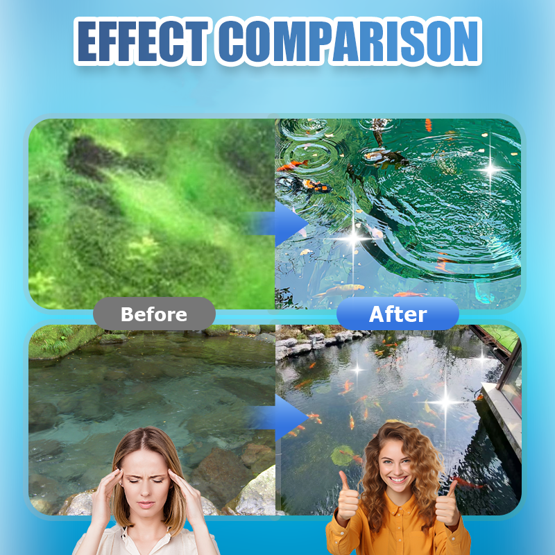 500g Premium Pond Care Powder | Water Clarifier & Algae Control 🐟🌊🔬