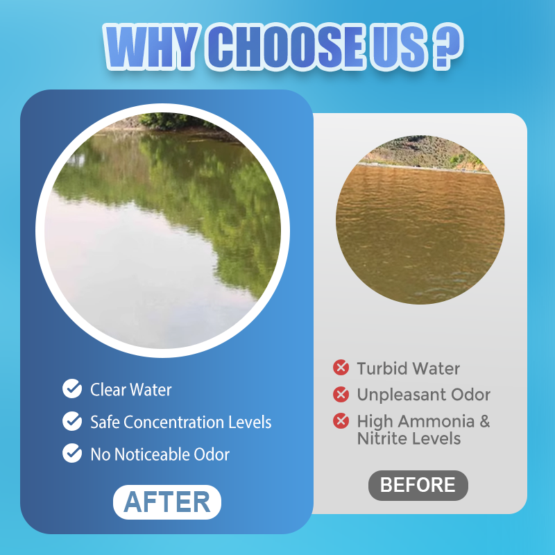 500g Premium Pond Care Powder | Water Clarifier & Algae Control 🐟🌊🔬
