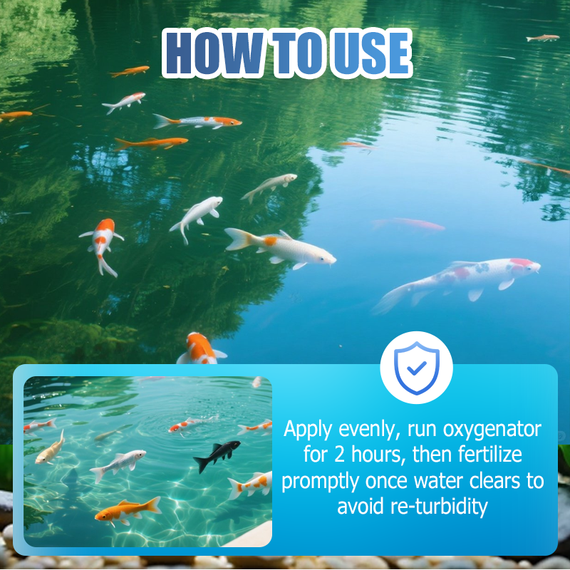 500g Premium Pond Care Powder | Water Clarifier & Algae Control 🐟🌊🔬