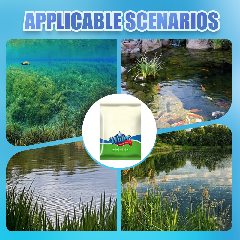 500g Premium Pond Care Powder | Water Clarifier & Algae Control 🐟🌊🔬