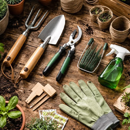 Home & Garden