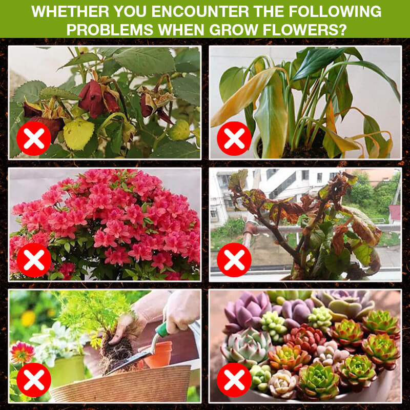 💥Last Day Promotion 49% OFF💥 Plant Growth Enhancer Supplement（BUY 1 GET 1 FREE）