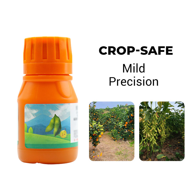 🌿 Weed Annihilator Pro 💀 - Total Root Destruction in 24 Hours! ⏳✨