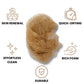 🥳HOT SALE🥳💞50K+ SOLD! Exfoliating Sponge – BUY 1 GET 3! Deep cleans, quick-dry & stretchy. Silky skin – grab yours! ✅