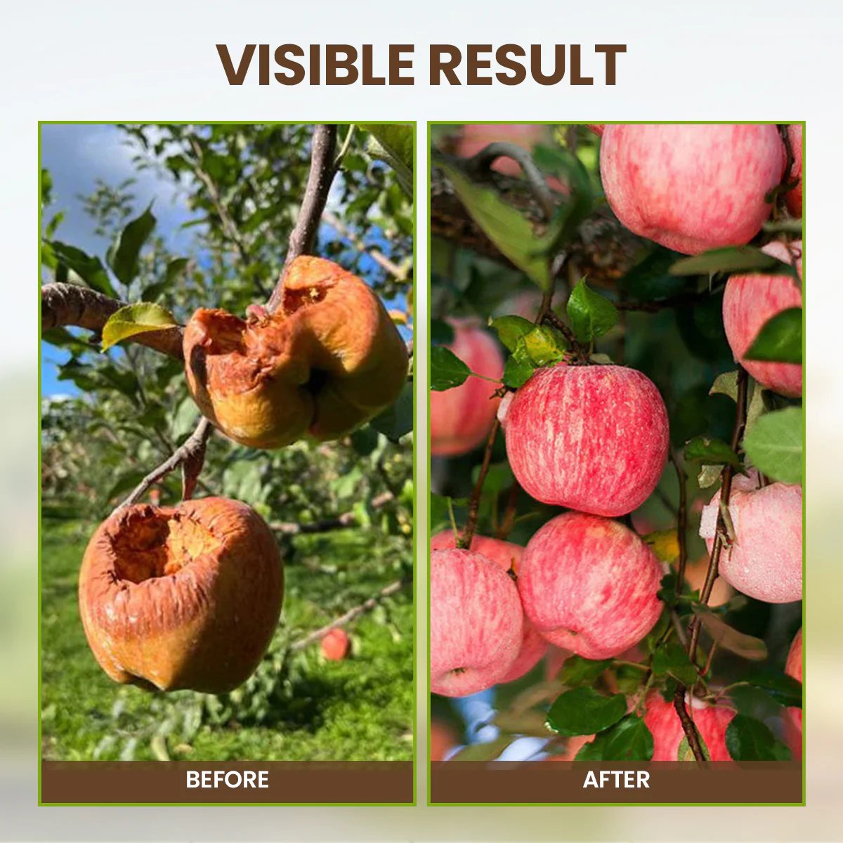 🏅 Gardener‘s Choice 2026 | Soil Pro Activator 💪 Stronger Roots 【75K+ SOLD】