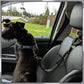 🔥FLASH SALE🔥 Pet Elastic Safety Rope – Keeps Pets Secure in Cars, Adjustable Length, 360° Swivel – Stops Distractions! 🐕🚗