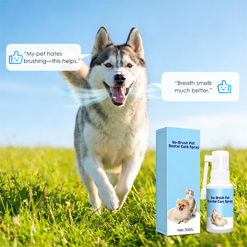 🧴 50% OFF NOW! Dental spray for pets – no brush required – natural peppermint – eliminates bad breath & plaque 🐾✨