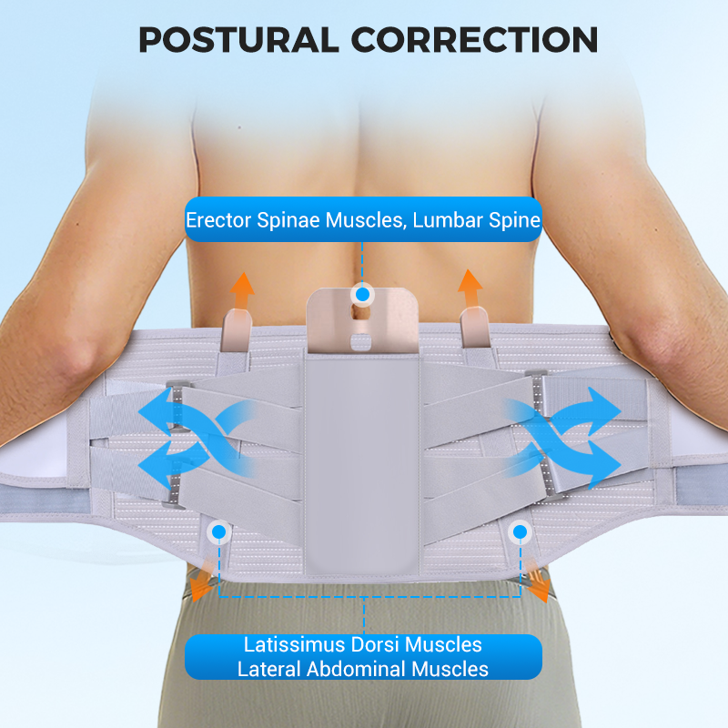 🔥Caring for your lumbar spine🎁🎄Heat-pressed Mesh Breathable Steel Plate Support Waist Protector