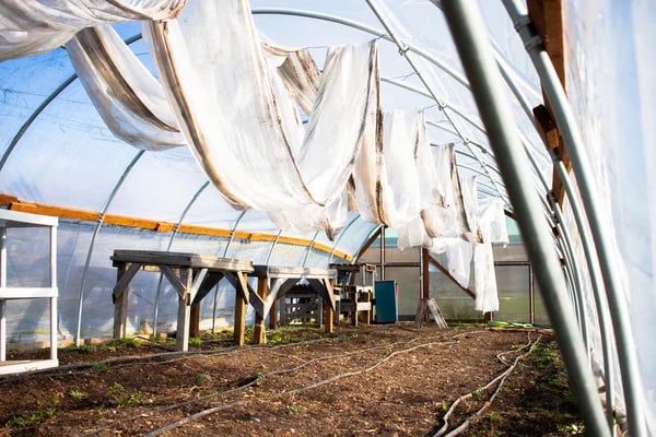 🌞 Stretch, Slide & Secure Your Shade Cloth Instantly  Heavy-Duty Shade Cloth Clips – Smooth, Fast & Reliable