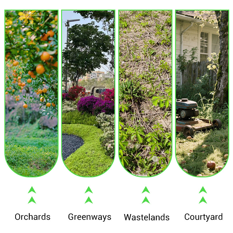 🌿 Weed Annihilator Pro 💀 - Total Root Destruction in 24 Hours! ⏳✨