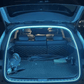 🔥Hot sale - 49% discount✨Dynamically flowing trunk light stripes