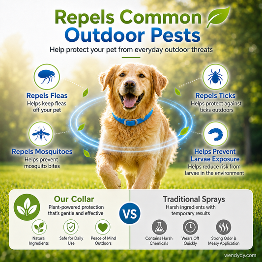 🔥Buy 1 free get 1🔥🐾 Natural Essential Oil Pet Pest Repellent Collar 🦟Safe Flea & Tick Protection for Dogs & Cats 💚