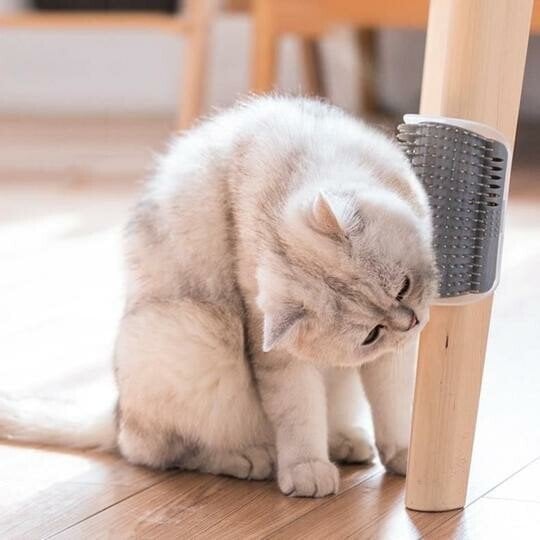 🔥50% OFF for a limited time🔥 Cat Hair Catcher Wall Comb – Collects Loose Fur, Less Cleaning 🐈‍⬛🧹