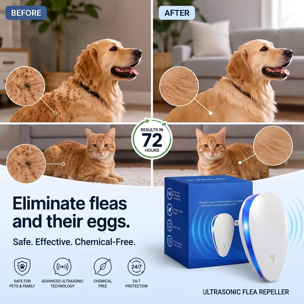 🎃Halloween Deal 50% OFF!🏠Advanced Pest Control– Eradicates Fleas Once And For All