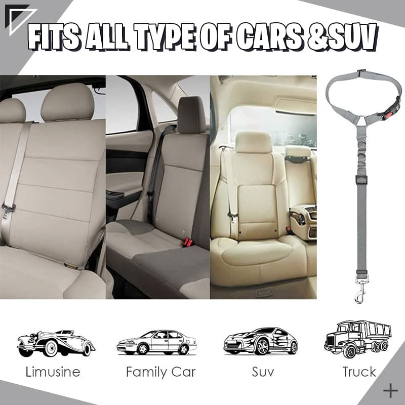 🔥FLASH SALE🔥 Pet Elastic Safety Rope – Keeps Pets Secure in Cars, Adjustable Length, 360° Swivel – Stops Distractions! 🐕🚗