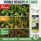 🥳2026 HOT SALE🥳💞50K+ SOLD! 🌿🛡️ 50% OFF! Glyphosate‑Free Weed Killer – Safe for pets & kids, tough on weeds. Fast‑acting, biodegradable formula – garden care made simple! 🏠💚