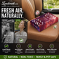 🔥2026 New Arrival🔥 Natural Plant-Based Air Freshener for Room & Car