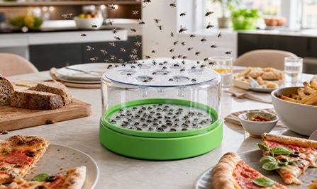 Place the fly trap