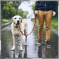🔥FLASH SALE🔥 Pet Elastic Safety Rope – Keeps Pets Secure in Cars, Adjustable Length, 360° Swivel – Stops Distractions! 🐕🚗