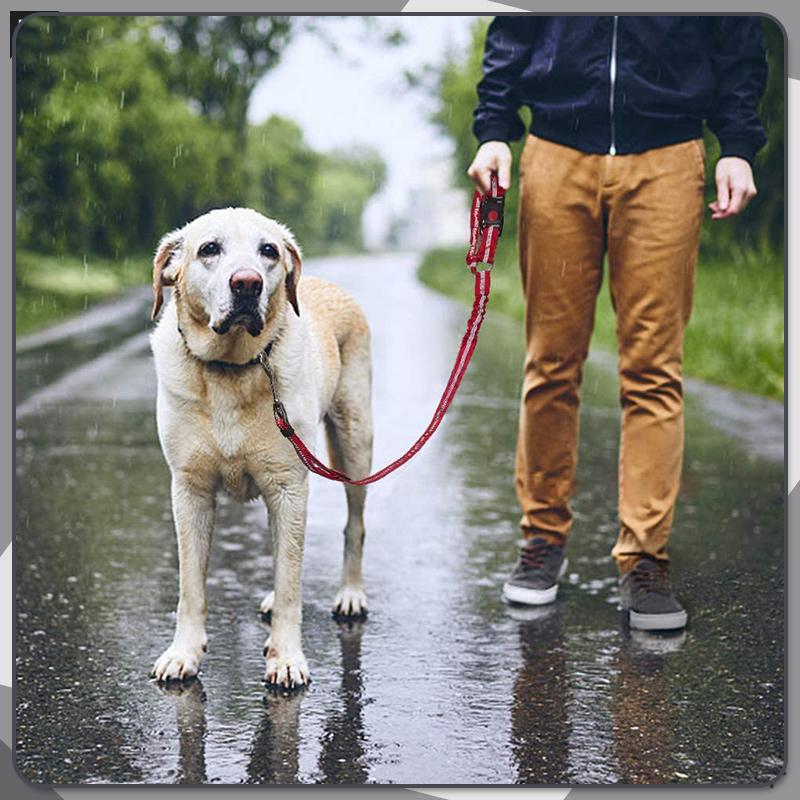🔥FLASH SALE🔥 Pet Elastic Safety Rope – Keeps Pets Secure in Cars, Adjustable Length, 360° Swivel – Stops Distractions! 🐕🚗