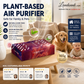 🔥2026 New Arrival🔥 Natural Plant-Based Air Freshener for Room & Car