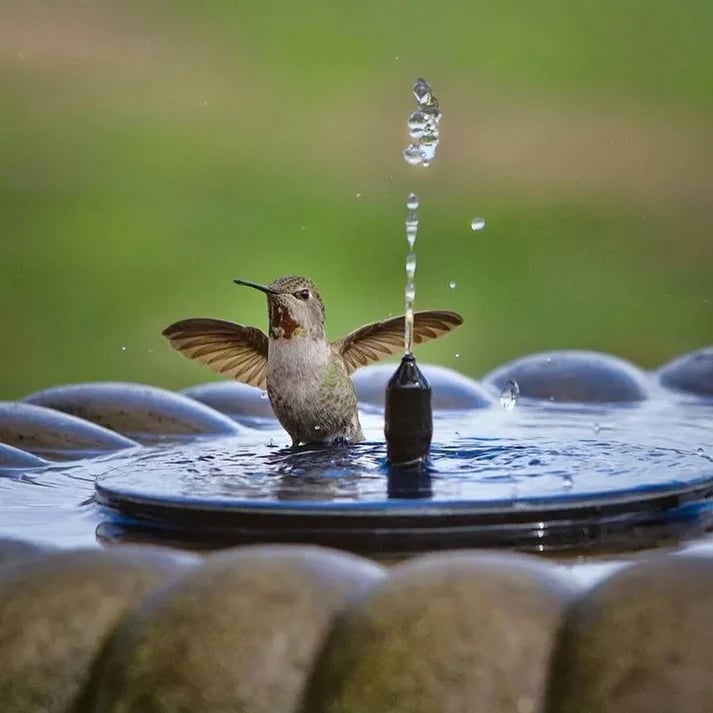 ⏳Time-Limited Special⏰Compact Solar Bird Fountain Pump – Keep Your Garden Alive! 🐦️