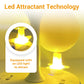 ✨2025 Hot Sale⌛🔥Sticky Fruit Fly Trap Ball with Stand & LED