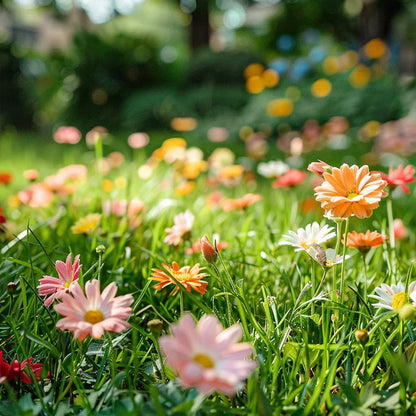Colorful wildflower mix: blooms all year round! 🌸🌼🌺