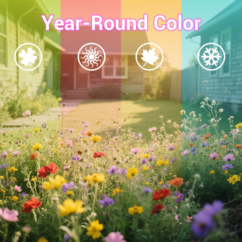 Colorful wildflower mix: blooms all year round! 🌸🌼🌺