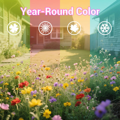 Colorful wildflower mix: blooms all year round! 🌸🌼🌺