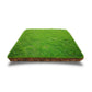 Grass Seeds for Lawn and Golf Course