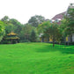 Grass Seeds for Lawn and Golf Course