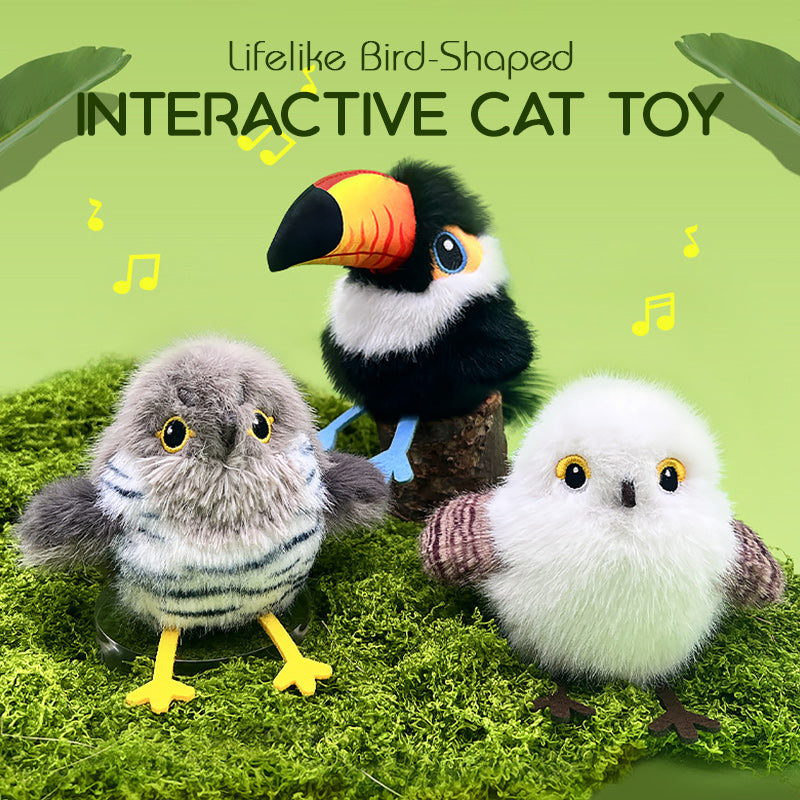 🔥2025 New Arrival🔥 Lifelike Bird-Shaped Interactive Cat Toy