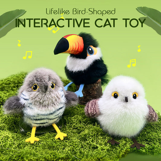 🔥2025 New Arrival🔥 Lifelike Bird-Shaped Interactive Cat Toy