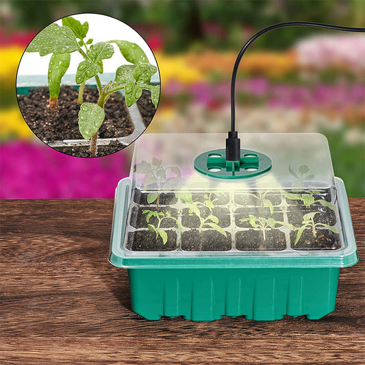 💎59% OFF! 💎 Germination Trays with Grow Light – Humidity Control, Transparent & Full-Spectrum Light 🌱💡