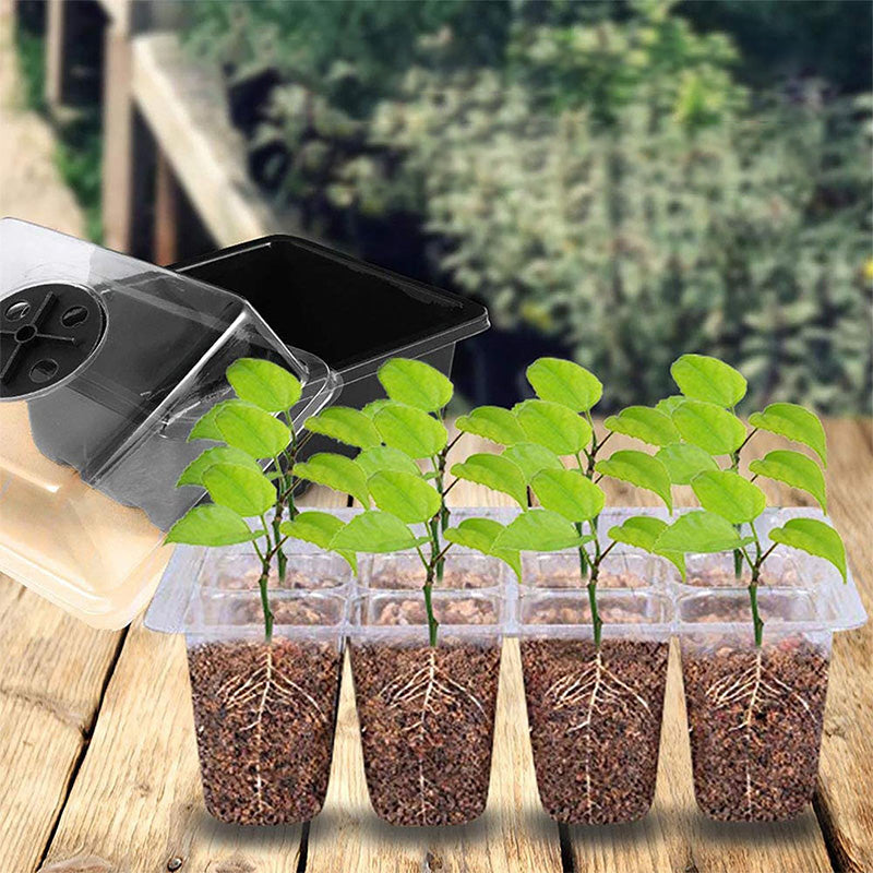💎59% OFF! 💎 Germination Trays with Grow Light – Humidity Control, Transparent & Full-Spectrum Light 🌱💡