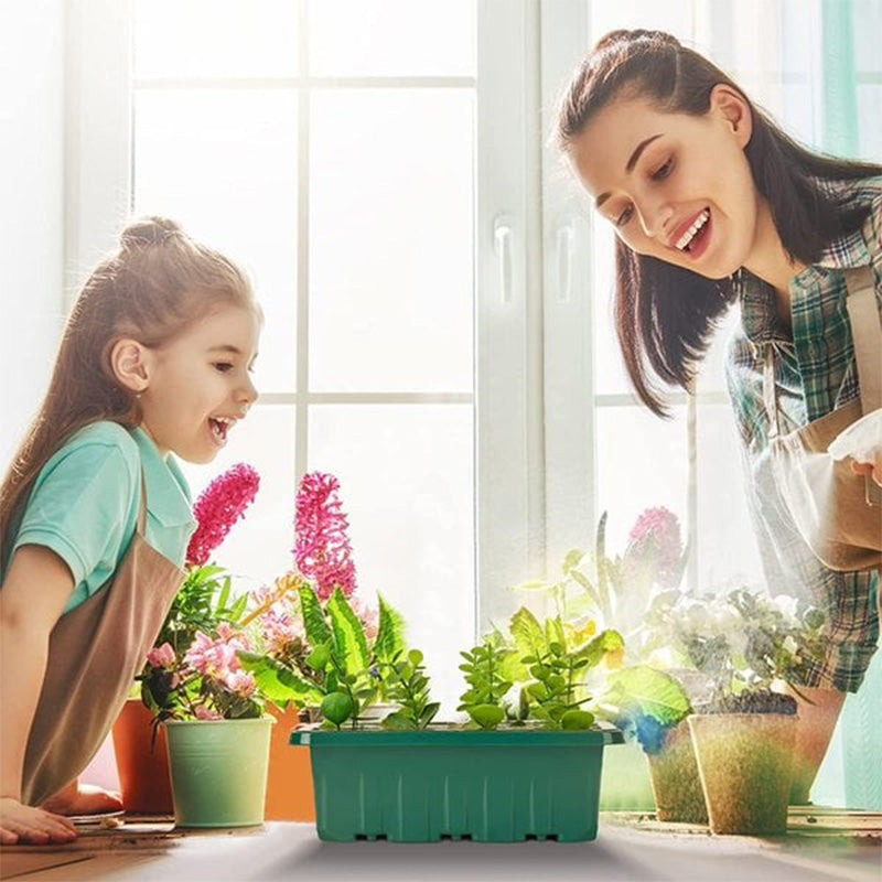💎59% OFF! 💎 Germination Trays with Grow Light – Humidity Control, Transparent & Full-Spectrum Light 🌱💡