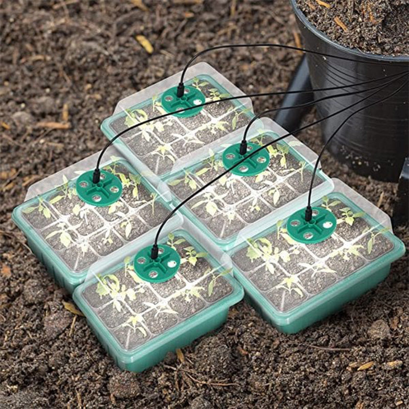 💎59% OFF! 💎 Germination Trays with Grow Light – Humidity Control, Transparent & Full-Spectrum Light 🌱💡