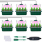 💎59% OFF! 💎 Germination Trays with Grow Light – Humidity Control, Transparent & Full-Spectrum Light 🌱💡