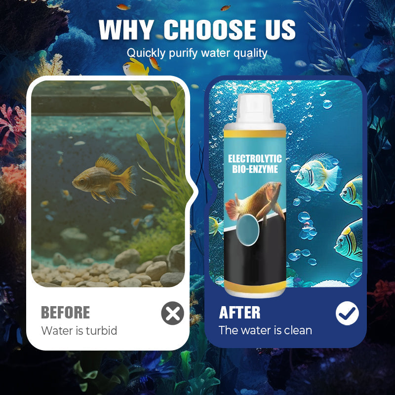 🔥New Hot Selling❤️‍🔥Fast-Acting Water Purification Bio-Enzyme
