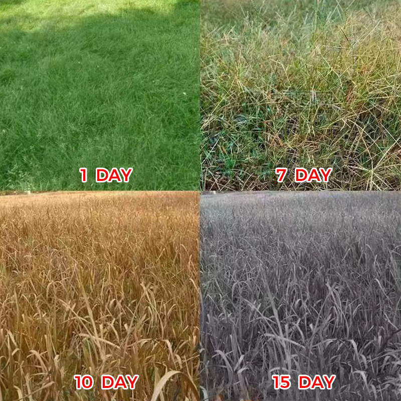 🌿 Weed Annihilator Pro 💀 - Total Root Destruction in 24 Hours! ⏳✨