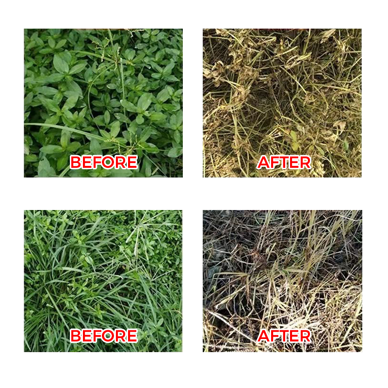 🌿 Weed Annihilator Pro 💀 - Total Root Destruction in 24 Hours! ⏳✨