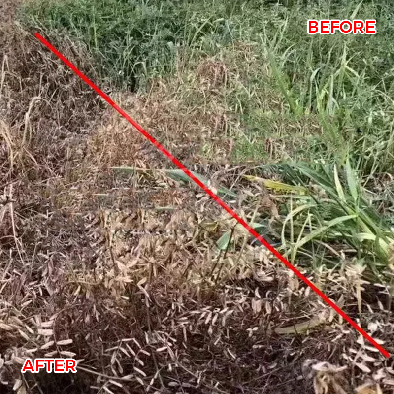 🌿 Weed Annihilator Pro 💀 - Total Root Destruction in 24 Hours! ⏳✨