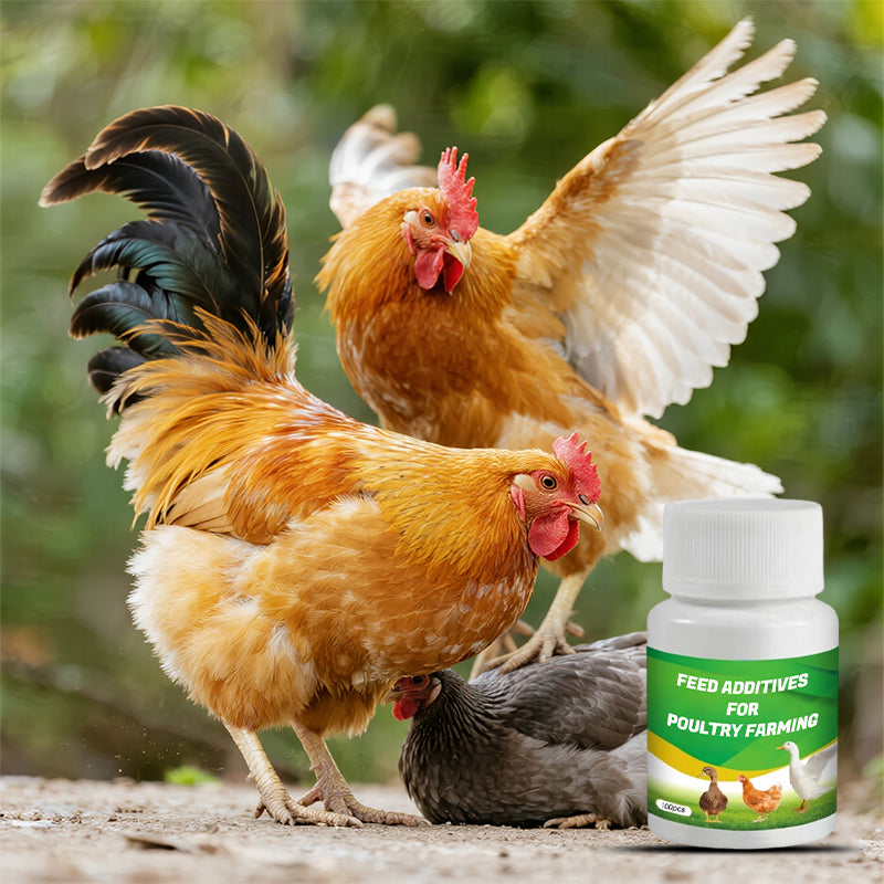 Feed additives for poultry farming