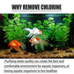 Fish Ponds Aquariums Chlorine Removal Tablets