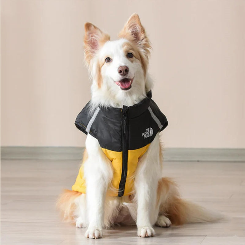 🐶 Waterproof Dog Winter Coat | Christmas Sale 53% OFF | Windproof Warm Lining, Reflective & Adjustable | Perfect Gift for Furry Friends in Cold Weather 🎄✨