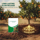 🌱 Controlled-Release Fruit Tree Fertilizer | Year-End Mega Upgrade Launch | 3-Month Slow-Release Nutrition, Balanced NPK Formula | Promotes Blossoming & Fruit Yield